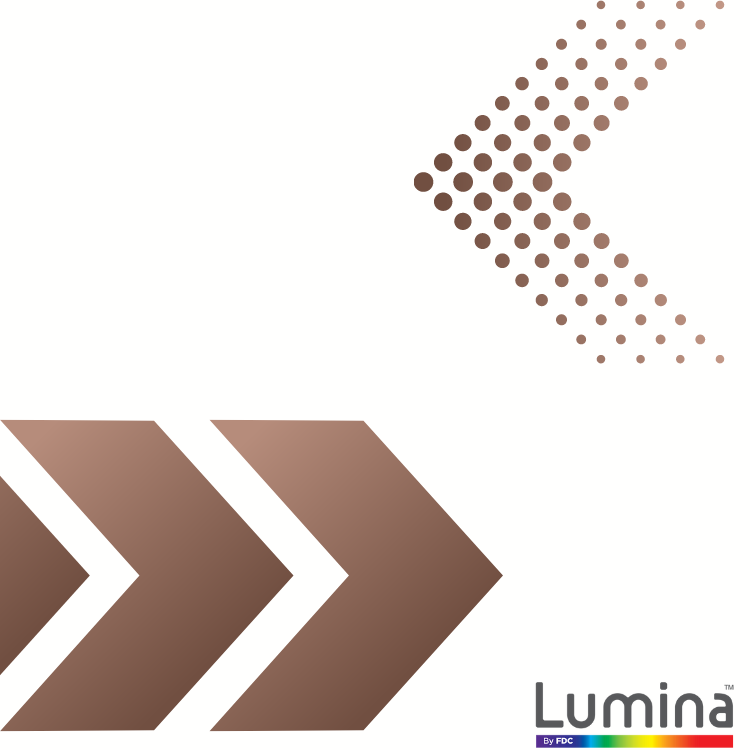 Lumina® 2100 30" x 10 Yds - Premium Cast Vinyl