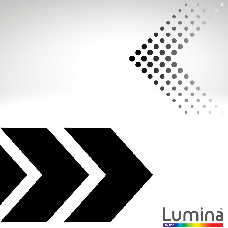 Lumina® 2100 48" x 10 Yds - Premium Cast Vinyl