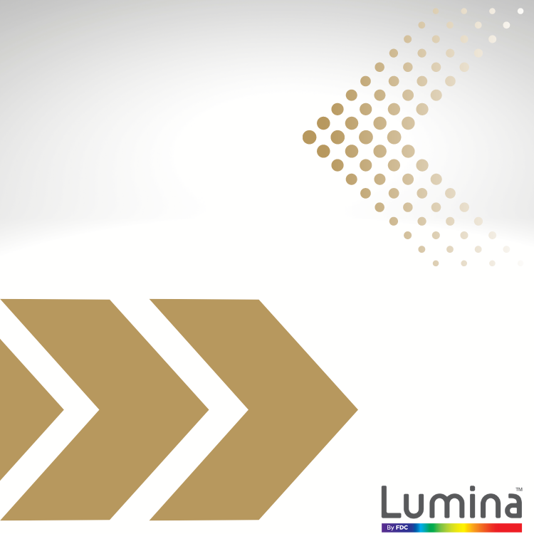 Lumina® 2100 48" x 10 Yds - Premium Cast Vinyl