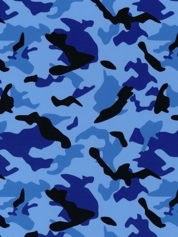 HTV camouflage bleu